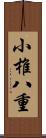 小椎八重 Scroll