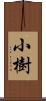 小樹 Scroll