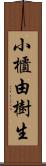 小櫃由樹生 Scroll