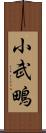 小武鴫 Scroll