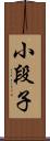 小段子 Scroll