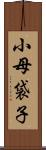 小母袋子 Scroll