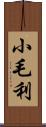 小毛利 Scroll