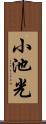 小池光 Scroll