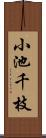 小池千枝 Scroll