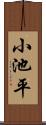 小池平 Scroll