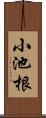 小池根 Scroll