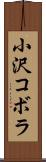 小沢コボラ Scroll