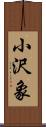 小沢象 Scroll