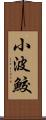 小波鮫 Scroll