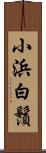 小浜白鬚 Scroll