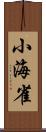 小海雀 Scroll