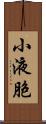 小液胞 Scroll