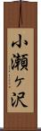 小瀬ヶ沢 Scroll