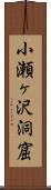 小瀬ヶ沢洞窟 Scroll