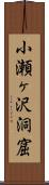 小瀬ヶ沢洞窟 Scroll