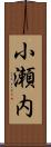 小瀬内 Scroll
