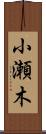 小瀬木 Scroll