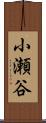 小瀬谷 Scroll