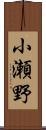 小瀬野 Scroll