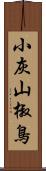 小灰山椒鳥 Scroll