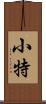 小特 Scroll