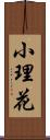 小理花 Scroll