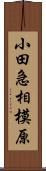 小田急相模原 Scroll