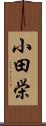小田栄 Scroll
