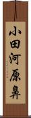 小田河原鼻 Scroll