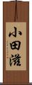 小田滋 Scroll