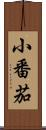 小番茄 Scroll