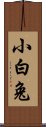 小白兔 Scroll