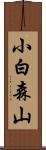 小白森山 Scroll