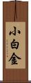 小白金 Scroll