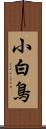 小白鳥 Scroll