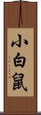 小白鼠 Scroll