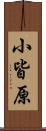 小皆原 Scroll