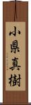 小県真樹 Scroll