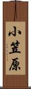 小笠原 Scroll