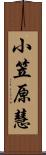 小笠原慧 Scroll