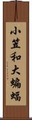 小笠和大蝙蝠 Scroll