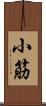 小筋 Scroll