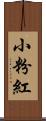 小粉紅 Scroll