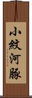 小紋河豚 Scroll