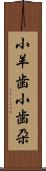 小羊歯 Scroll