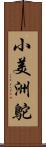 小美洲鴕 Scroll
