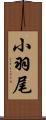 小羽尾 Scroll
