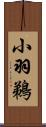 小羽鵜 Scroll