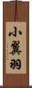 小翼羽 Scroll
